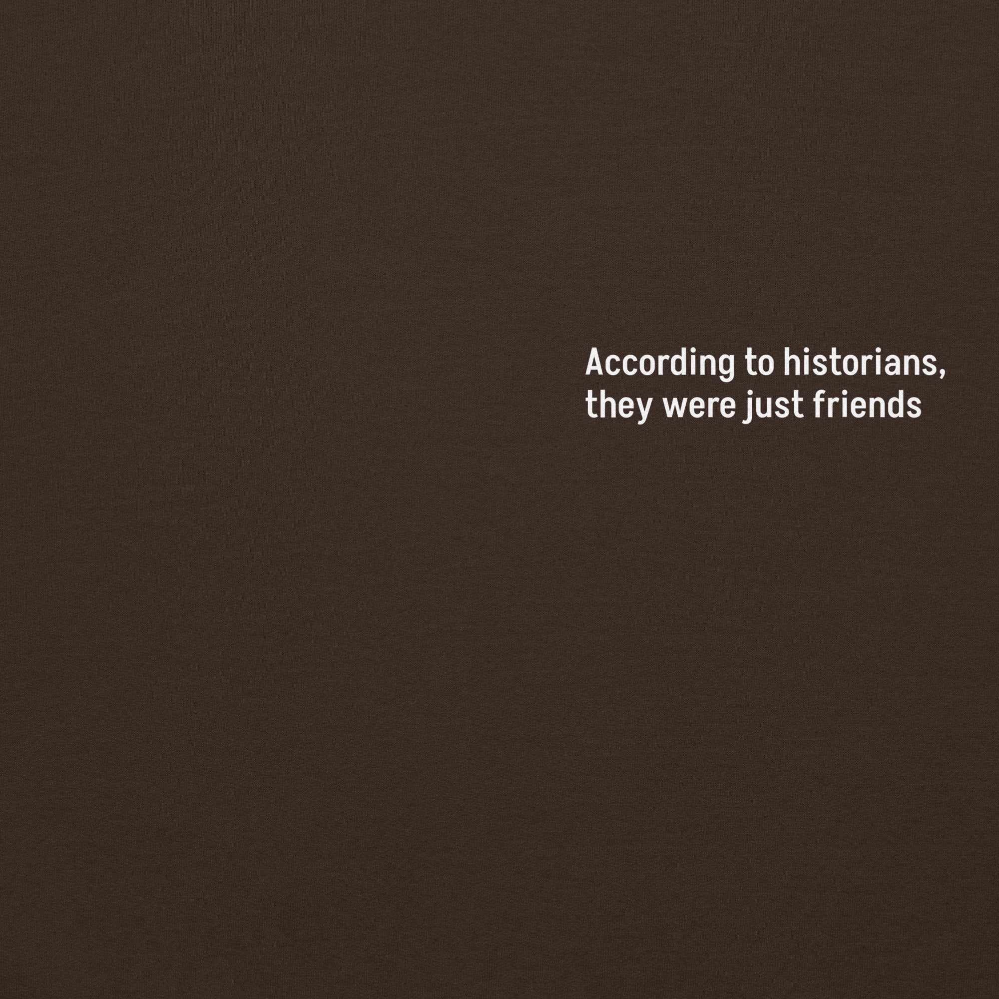 Historians Will Call Them Friends Premium Hoodie